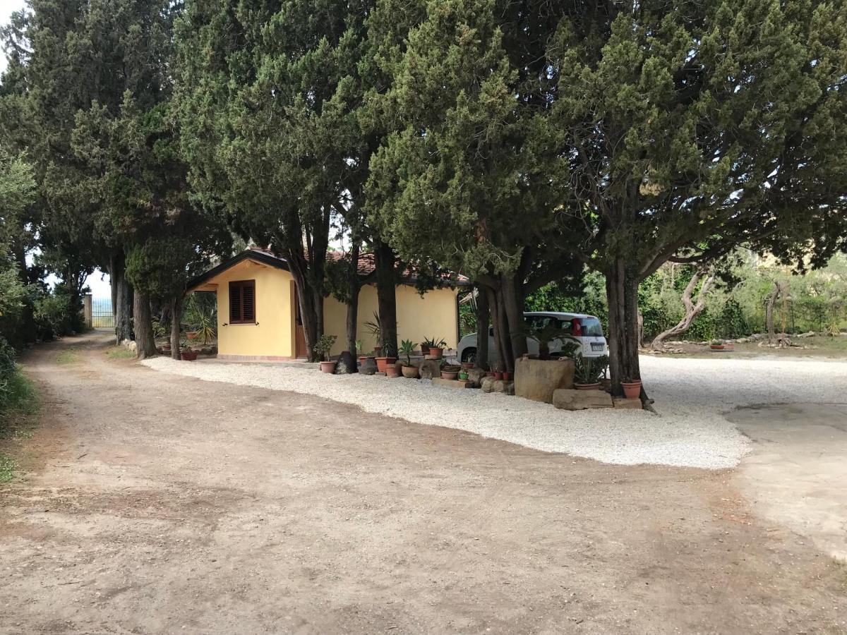 A Casa Di Peppino Villa Greco Тиндари Экстерьер фото